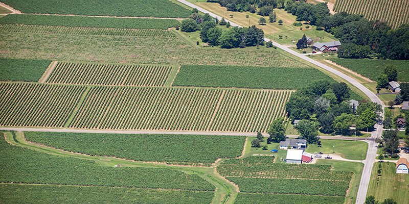 Aerial view of agricultural land in Erie County