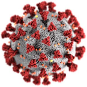 Visual representation of the COVID-19 Corona Virus - CDC