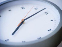 Avian Flu Clock